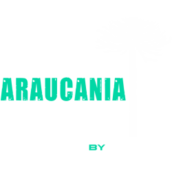 LogoAraucaniaTrailSeriesB512